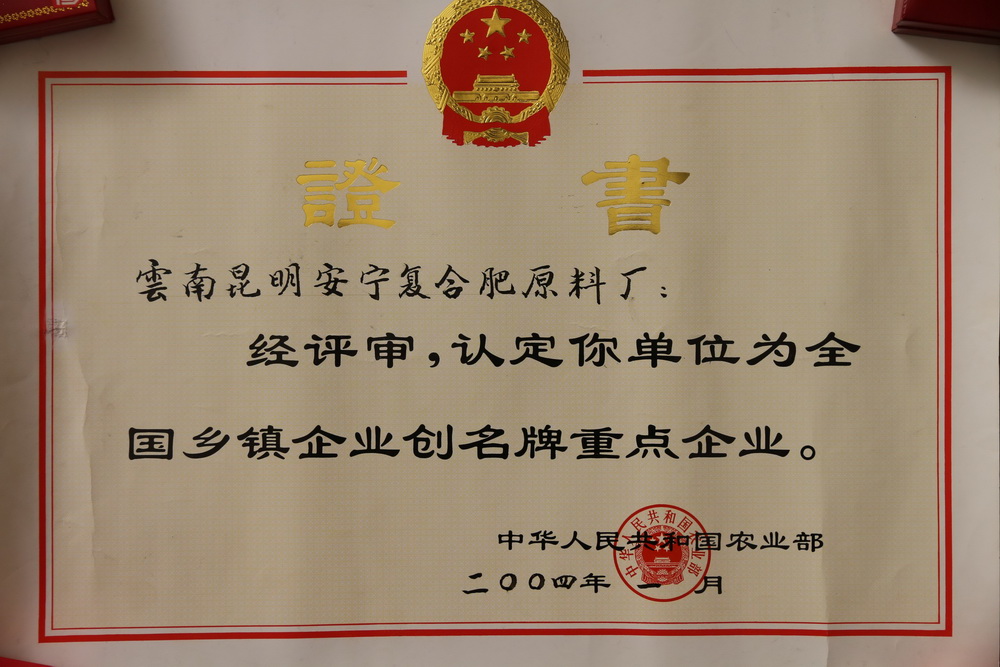 全国乡镇企业创名牌重点企业